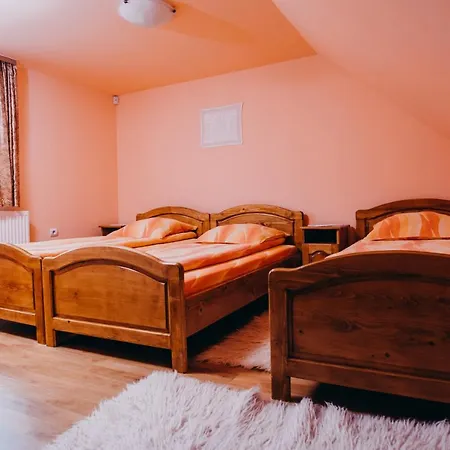Дом отдыха Casa Roland Георгени